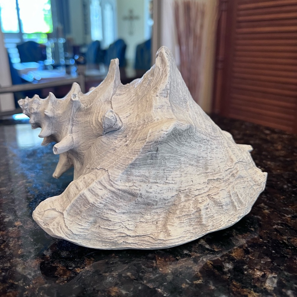 Vintage House Parts Inc. "Concha Grande" Hand-Cast Fossil Finish Conch Shell